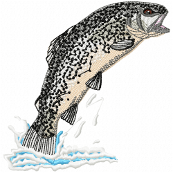 Fishes Embroidery Design 7